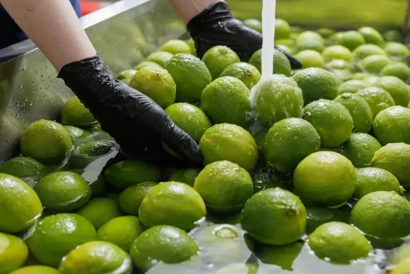 Lemon production