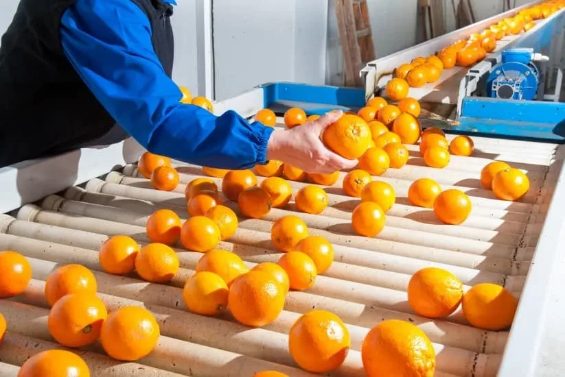 man working in a citrus factory