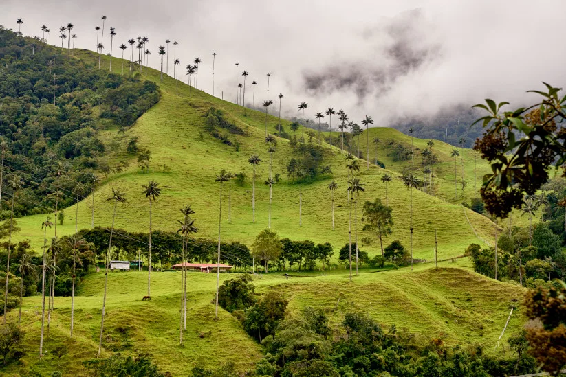 One of the sustainable tourism destinations: central place to the growth of ecotourism