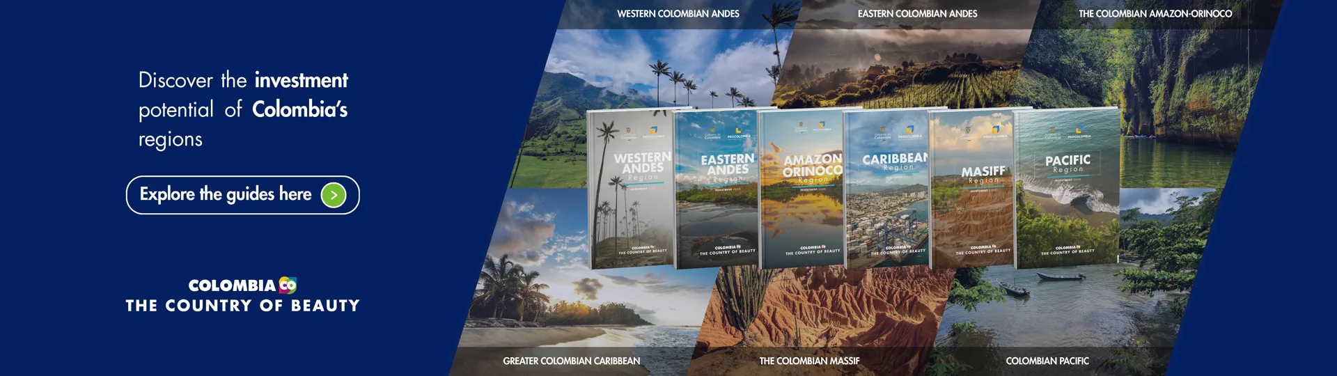 Covers of brochures for macro-regions featuring promotional text about investment