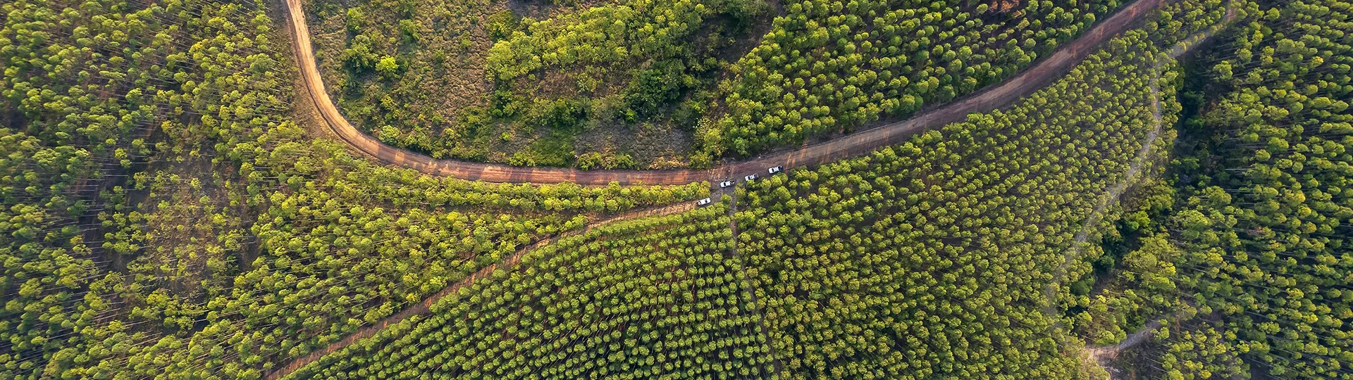 Producción de alimentos en Colombia