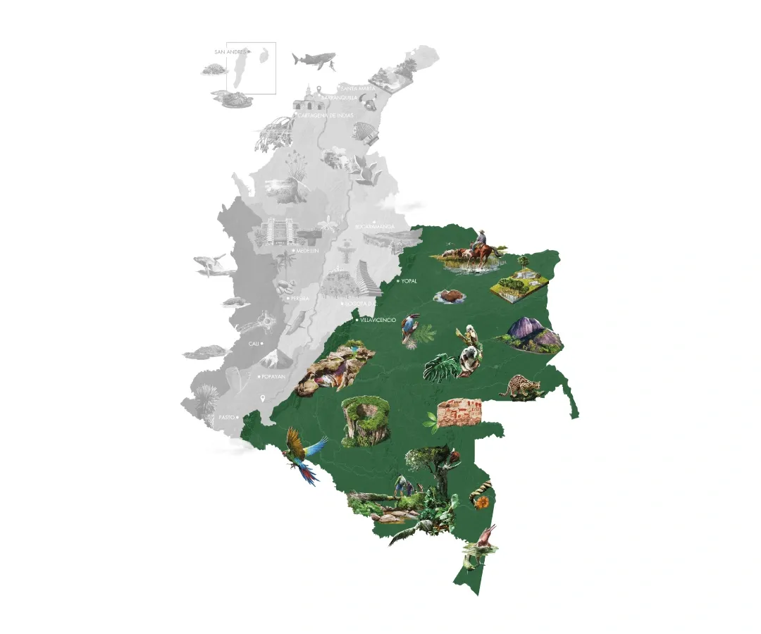 Mapa Amazonía y Orinoquía