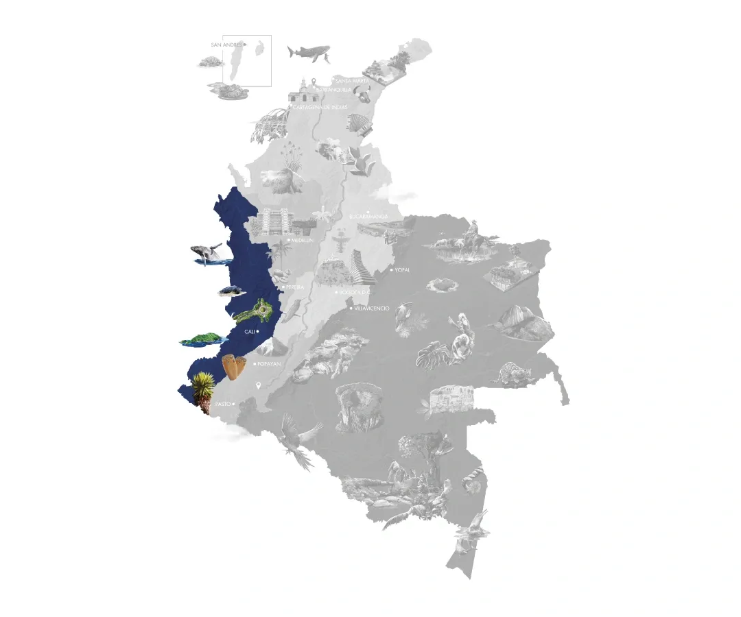 Mapa del Pacífico Colombiano