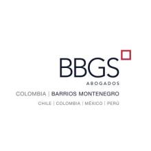 logo bbgs