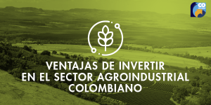 Ventajas de invertir en sector agroindustrial en Colombia