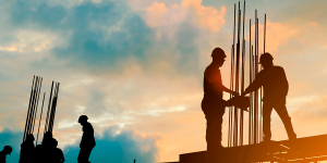 Silhouette engineer