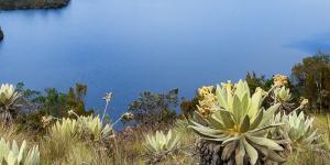 Investment opportunities in Colombia: Andean Region.
