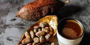 Cocoa beans and cocoa liquor