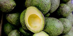 La empresa que sembrará 60 mil árboles de aguacate hass en Colombia en el 2019