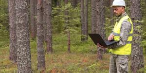 Worker doing a forestry valuation