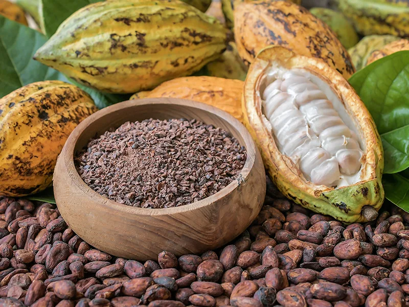 Cacao Colombiano / Colombian Cocoa