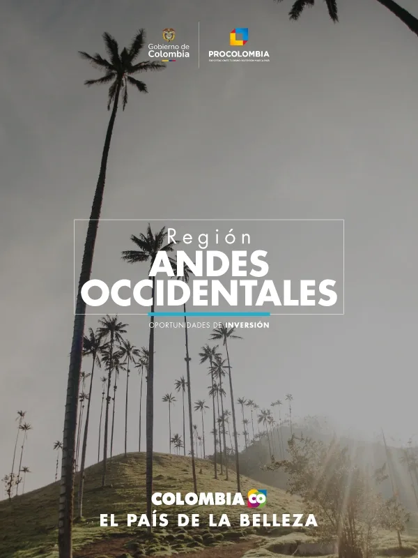 Andes Occidentales