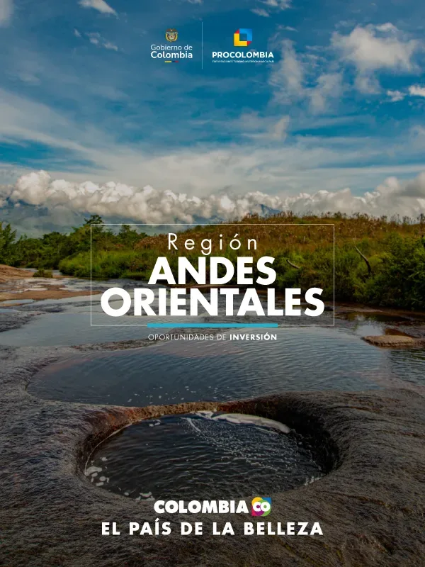 Andes Orientales