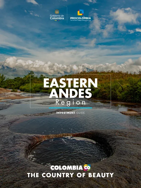 EASTERN COLOMBIAN ANDES