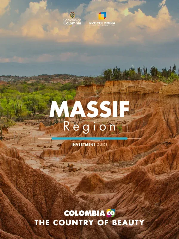 THE COLOMBIAN MASSIF